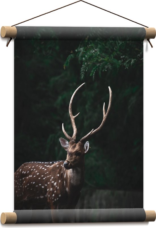 Textielposter - Hert met Stippen en Groot Gewei in Donkergroen Bos - 30x40 cm Foto op Textiel