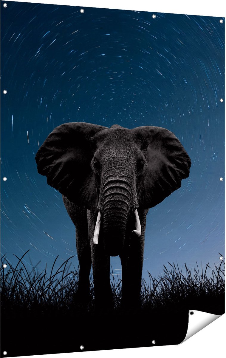 Gards Tuinposter Olifant Omringd met Sterren - 120x160 cm - Tuindoek - Tuindecoratie - Wanddecoratie buiten - Tuinschilderij Multikleur