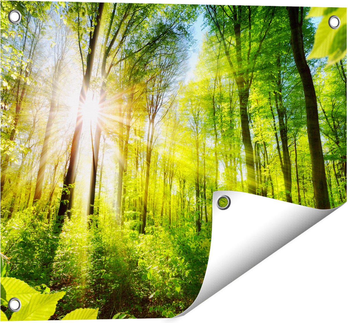 Gards Tuinposter Weg Omringd met Bomen in het Bos - 50x40 cm - Tuindoek - Tuindecoratie - Wanddecoratie buiten - Tuinschilderij Multikleur