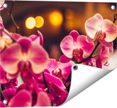 Gards Tuinposter Roze Orchidee Bloemen - 50x40 cm - Tuindoek - Tuindecoratie - Wanddecoratie buiten - Tuinschilderij