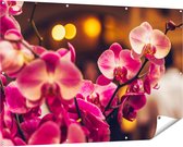 Gards Tuinposter Roze Orchidee Bloemen - 150x100 cm - Tuindoek - Tuindecoratie - Wanddecoratie buiten - Tuinschilderij