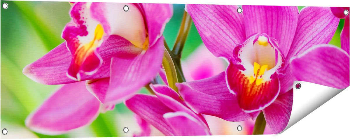 Gards Tuinposter Licht Paarse Orchidee Bloemen - 120x40 cm - Tuindoek - Tuindecoratie - Wanddecoratie buiten - Tuinschilderij Multikleur