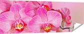 Gards Tuinposter Roze Orchidee Bloemen - 180x60 cm - Tuindoek - Tuindecoratie - Wanddecoratie buiten - Tuinschilderij