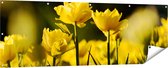 Gards Tuinposter Gele Tulpen - Bloemen - 180x60 cm - Tuindoek - Tuindecoratie - Wanddecoratie buiten - Tuinschilderij