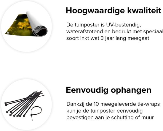 Gards Affiche jardin Tulipes jaunes - Fleurs - 200x100 cm - Toile jardin - Décoration de jardin - Décoration murale extérieur - Tableau jardin