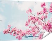 Gards Tuinposter Roze Bloesemboom - Bloemen - 120x80 cm - Tuindoek - Tuindecoratie - Wanddecoratie buiten - Tuinschilderij