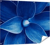 Gards Tuinposter Blauwe Agave Plant - Bloem - 120x90 cm - Tuindoek - Tuindecoratie - Wanddecoratie buiten - Tuinschilderij