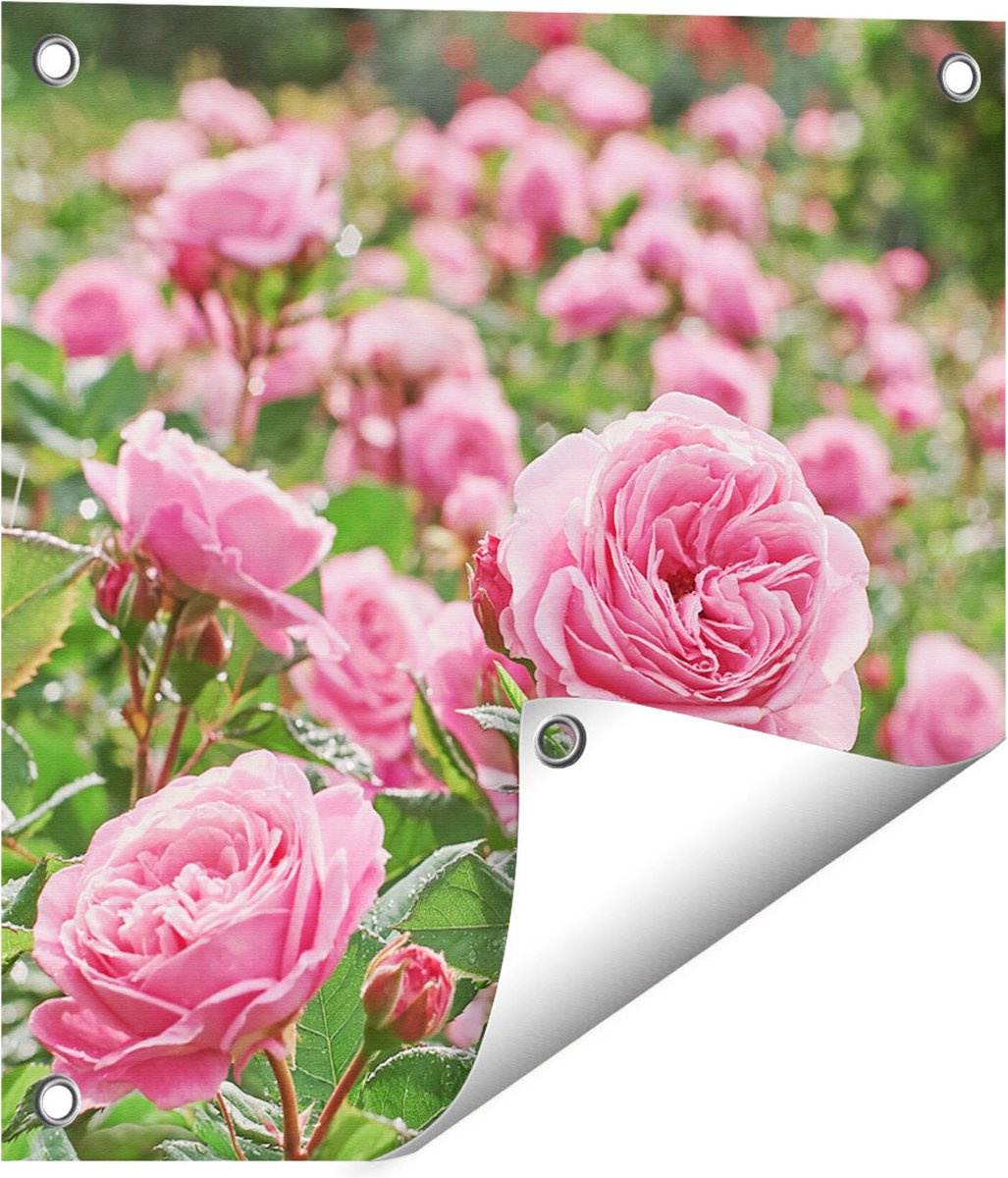 Gards Tuinposter Roze Rozen Bloemenveld - 40x40 cm - Tuindoek - Tuindecoratie - Wanddecoratie buiten - Tuinschilderij Multikleur