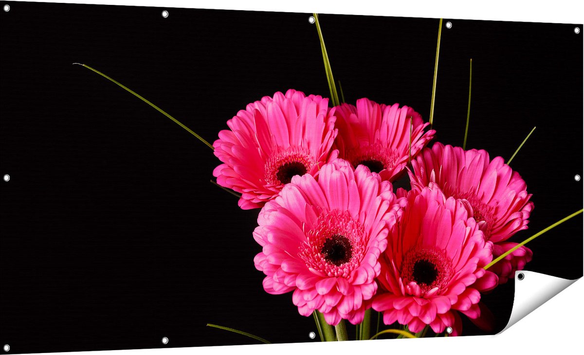 Gards Tuinposter Roze Gerbera Bloemen - 180x90 cm - Tuindoek - Tuindecoratie - Wanddecoratie buiten - Tuinschilderij Multikleur