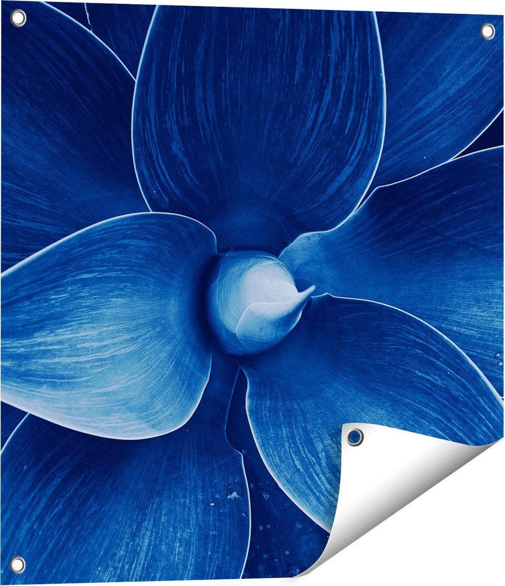 Gards Tuinposter Blauwe Agave Plant - Bloem - 60x60 cm - Tuindoek - Tuindecoratie - Wanddecoratie buiten - Tuinschilderij Multikleur