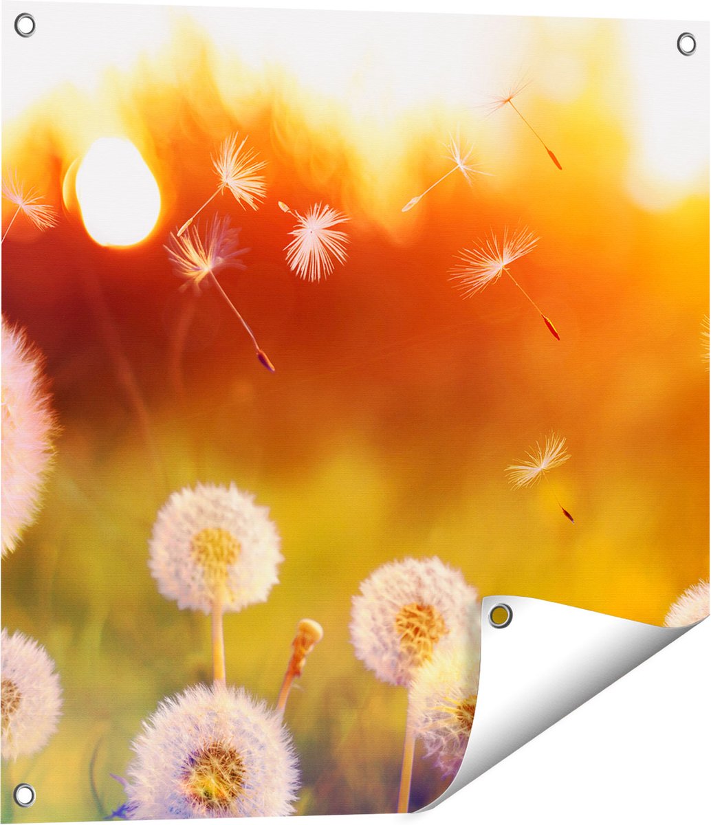 Gards Tuinposter Paardenbloemen tijdens Zonsondergang - 60x60 cm - Tuindoek - Tuindecoratie - Wanddecoratie buiten - Tuinschilderij Multikleur