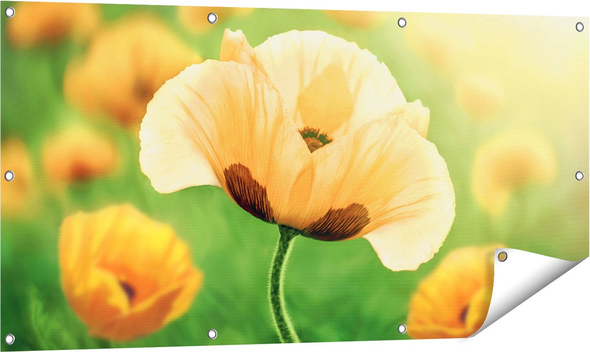 Gards Tuinposter Oranje Klaproos Bloemen - 120x60 cm - Tuindoek - Tuindecoratie - Wanddecoratie buiten - Tuinschilderij Multikleur
