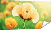 Affiche de jardin Gards Fleurs de Pavot Oranje - 120x60 cm - Toile de jardin - Décoration de jardin - Décoration murale extérieure - Tableau de jardin