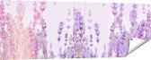 Gards Tuinposter Paarse Lavendel Bloemen - 150x50 cm - Tuindoek - Tuindecoratie - Wanddecoratie buiten - Tuinschilderij