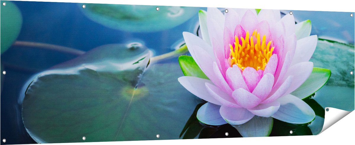 Gards Tuinposter Roze Lotusbloem met Waterlelies - 210x70 cm - Tuindoek - Tuindecoratie - Wanddecoratie buiten - Tuinschilderij Multikleur