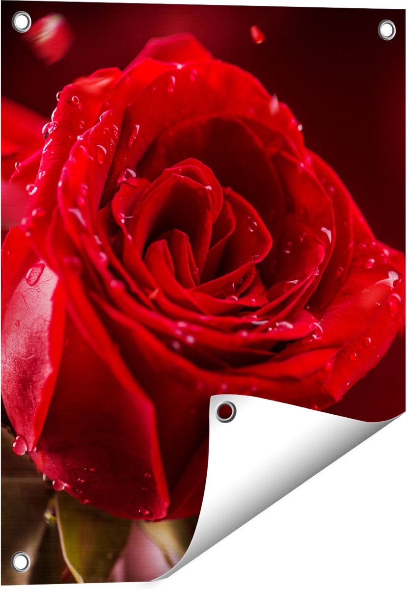 Gards Tuinposter Romantische Rode Roos - 40x50 cm - Tuindoek - Tuindecoratie - Wanddecoratie buiten - Tuinschilderij Multikleur