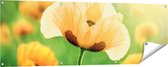 Gards Tuinposter Oranje Klaproos Bloemen - 150x50 cm - Tuindoek - Tuindecoratie - Wanddecoratie buiten - Tuinschilderij