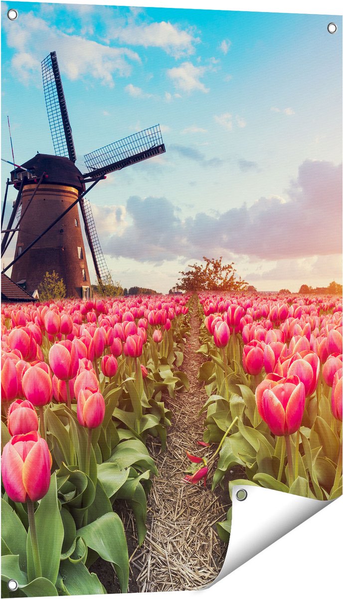 Gards Tuinposter Roze Tulpen Bloemenveld - met Windmolen - 60x90 cm - Tuindoek - Tuindecoratie - Wanddecoratie buiten - Tuinschilderij Multikleur