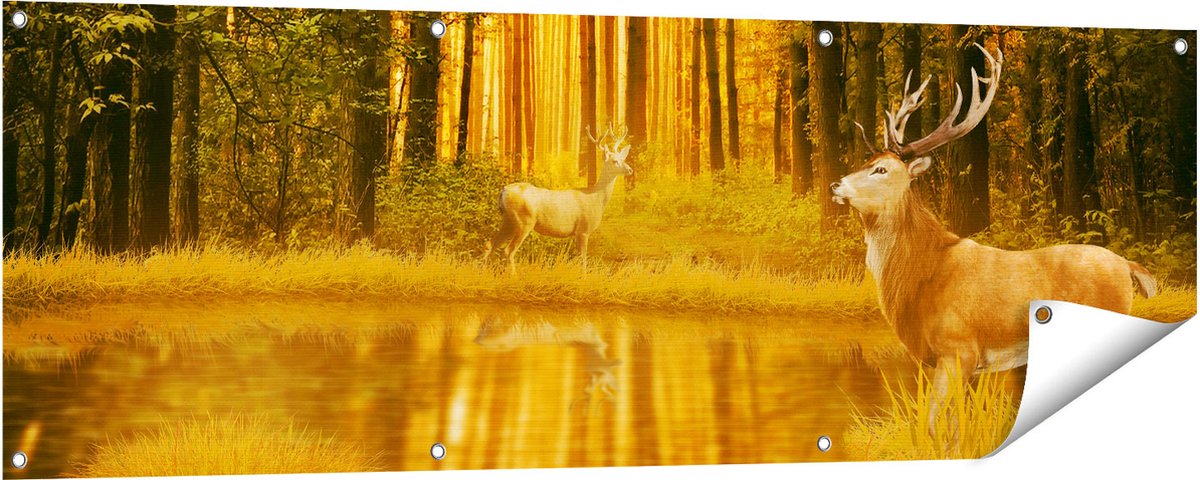 Gards Tuinposter Twee Herten in het Bos bij het Water - 150x50 cm - Tuindoek - Tuindecoratie - Wanddecoratie buiten - Tuinschilderij Multikleur