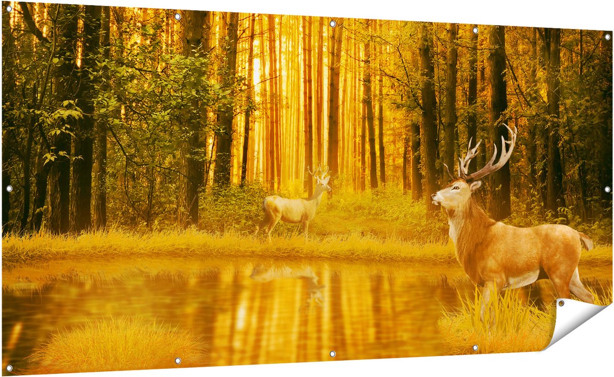 Gards Tuinposter Twee Herten in het Bos bij het Water - 200x100 cm - Tuindoek - Tuindecoratie - Wanddecoratie buiten - Tuinschilderij Multikleur