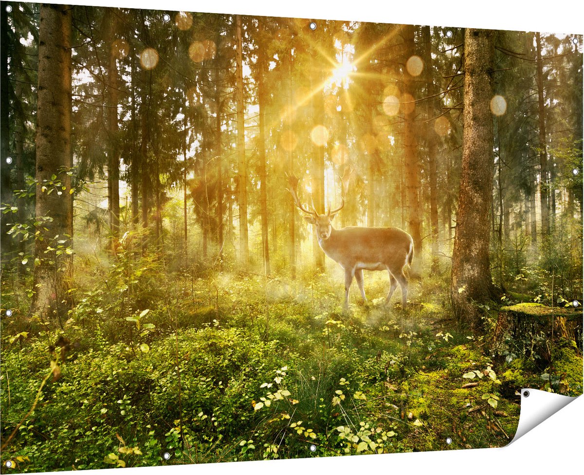 Gards Tuinposter Hert in Bos met Zon - 180x120 cm - Tuindoek - Tuindecoratie - Wanddecoratie buiten - Tuinschilderij Multikleur