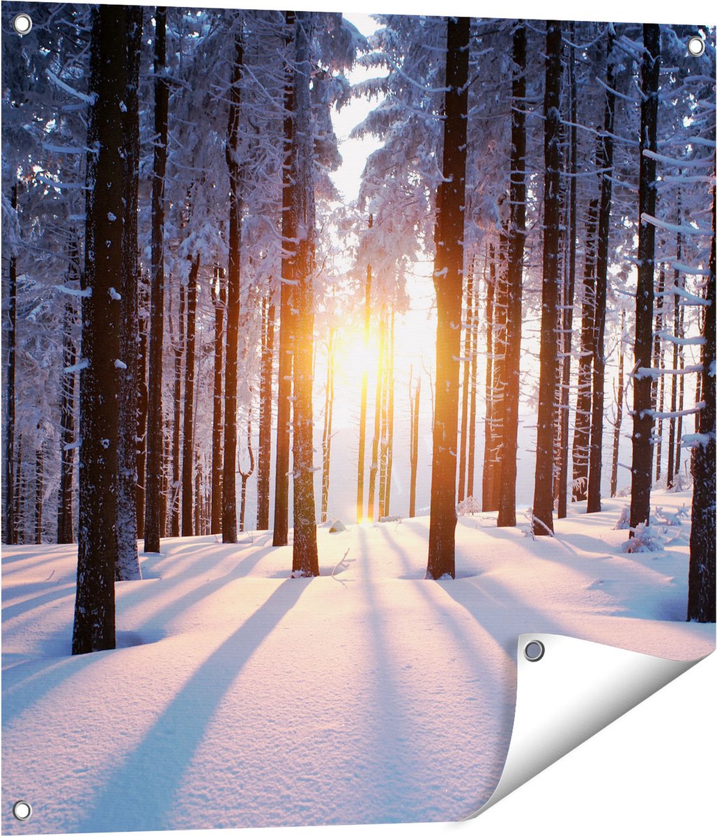 Gards Tuinposter Bos met Sneeuw tijdens de Zonsondergang - 70x70 cm - Tuindoek - Tuindecoratie - Wanddecoratie buiten - Tuinschilderij Multikleur