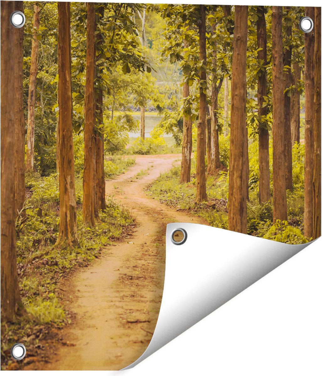 Gards Tuinposter Pad in het Bos met Bomen - 40x40 cm - Tuindoek - Tuindecoratie - Wanddecoratie buiten - Tuinschilderij Multikleur