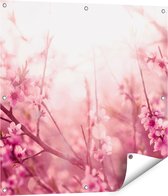 Gards Tuinposter Roze Bloesemboom met Zonneschijn - 80x80 cm - Tuindoek - Tuindecoratie - Wanddecoratie buiten - Tuinschilderij