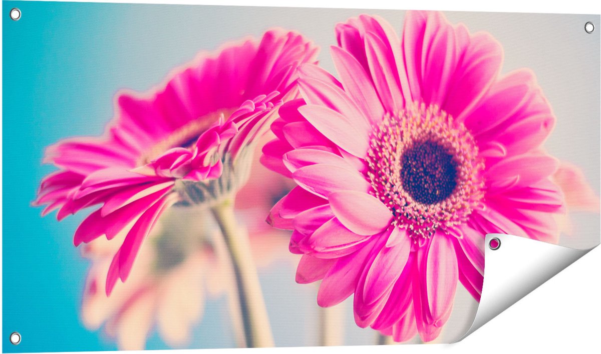 Gards Tuinposter Twee Roze Anjers - Bloemen - 100x50 cm - Tuindoek - Tuindecoratie - Wanddecoratie buiten - Tuinschilderij Multikleur