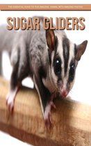 Sugar gliders: The Essential Guide to This Amazing Animal with Amazing Photos