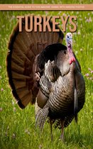 Turkeys: The Essential Guide to This Amazing Animal with Amazing Photos