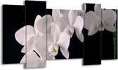 120 cm x 65 cm