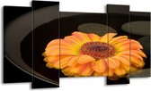 GroepArt - Schilderij - Bloem - Zwart, Oranje, Geel - 120x65 5Luik - Foto Op Canvas - GroepArt 6000+ Schilderijen 0p Canvas Art Collectie - Wanddecoratie