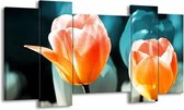 GroepArt - Schilderij - Tulp - Blauw, Oranje - 120x65 5Luik - Foto Op Canvas - GroepArt 6000+ Schilderijen 0p Canvas Art Collectie - Wanddecoratie