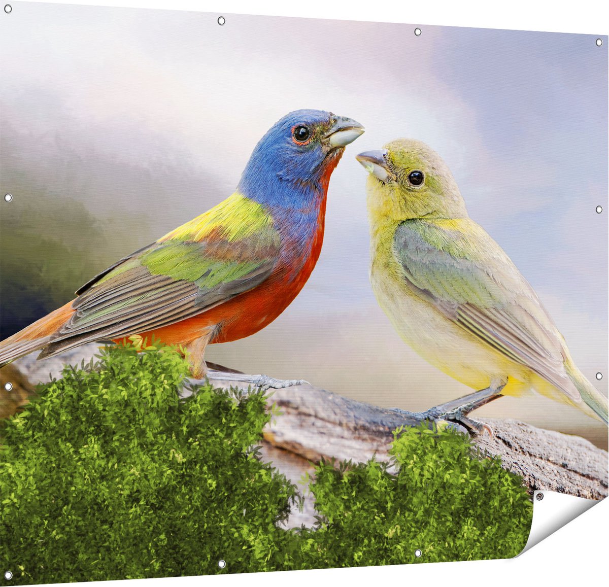 Gards Tuinposter Getekende Gorzen Vogels - Kleur - Abstract - 150x120 cm - Tuindoek - Tuindecoratie - Wanddecoratie buiten - Tuinschilderij Multikleur