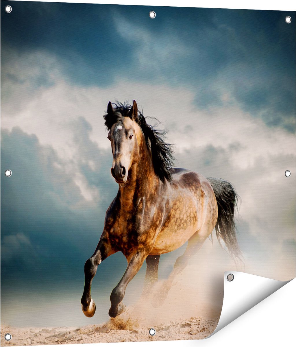 Gards Tuinposter Wilde Paard in het Zand - 80x80 cm - Tuindoek - Tuindecoratie - Wanddecoratie buiten - Tuinschilderij Multikleur