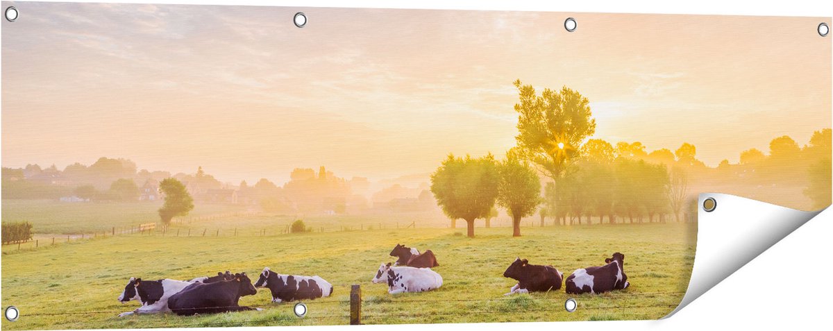 Gards Tuinposter Koeien in de Wei tijdens Zonsopgang - 120x40 cm - Tuindoek - Tuindecoratie - Wanddecoratie buiten - Tuinschilderij Multikleur