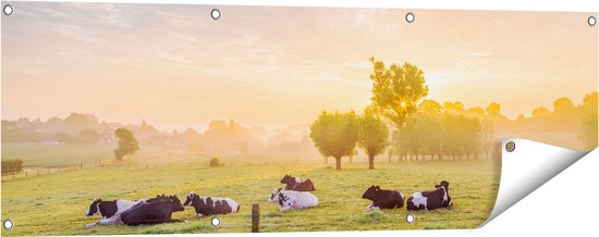 Tuinposter koeien - Kijk snel op