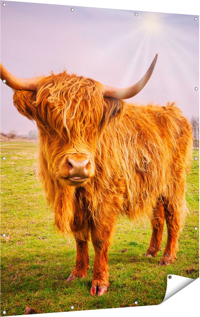 Gards Tuinposter Bruine Schotse Hooglander Koe - Kleur - 120x160 cm - Tuindoek - Tuindecoratie - Wanddecoratie buiten - Tuinschilderij Multikleur