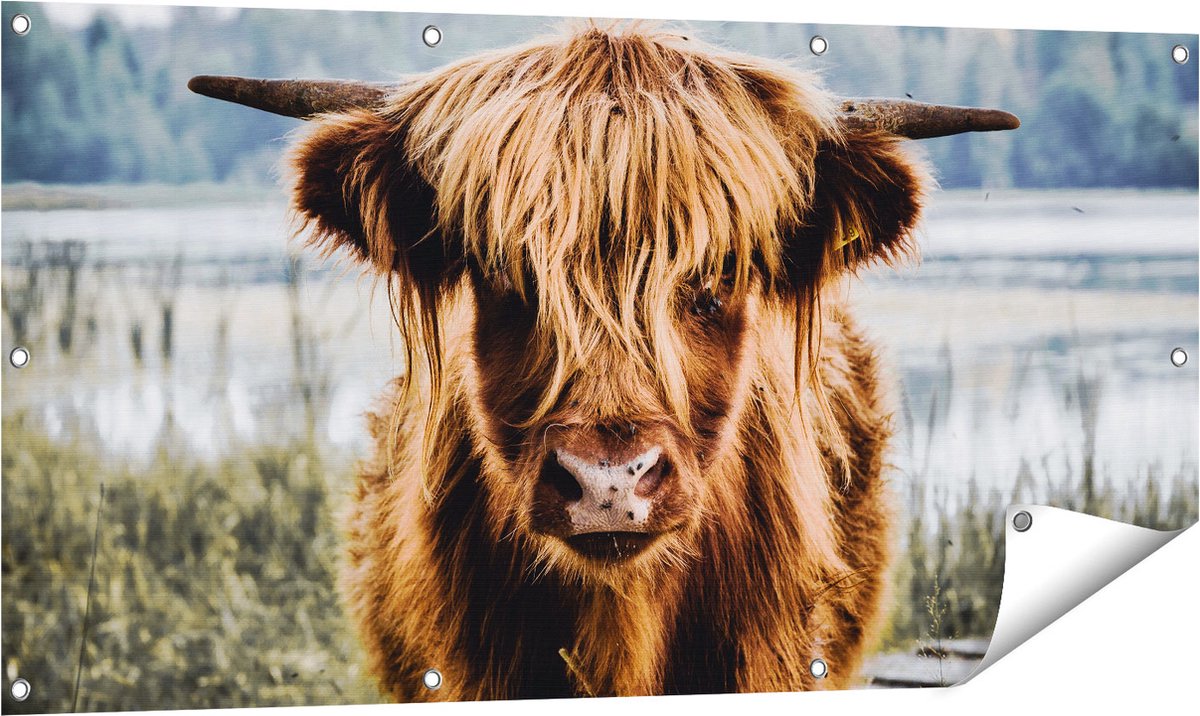 Gards Tuinposter Schotse Hooglander Koeienkop bij een Meer - 120x60 cm - Tuindoek - Tuindecoratie - Wanddecoratie buiten - Tuinschilderij Multikleur