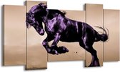 GroepArt - Schilderij - Paard - Paars, Grijs, Zwart - 120x65 5Luik - Foto Op Canvas - GroepArt 6000+ Schilderijen 0p Canvas Art Collectie - Wanddecoratie