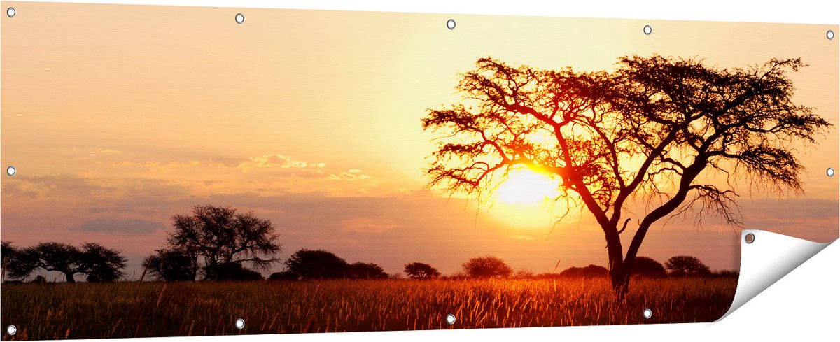 Gards Tuinposter Zonsondergang Achter een Acacia Boom - 180x60 cm - Tuindoek - Tuindecoratie - Wanddecoratie buiten - Tuinschilderij Multikleur
