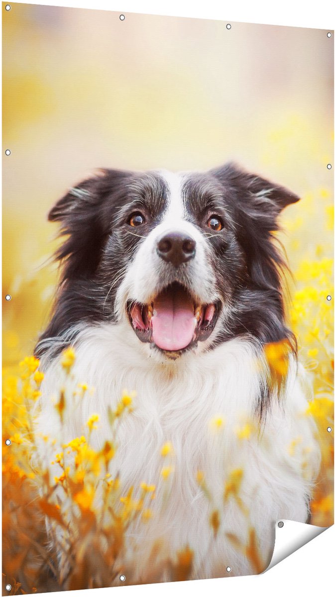 Gards Tuinposter Blije Hond tussen de Bloemen - 120x180 cm - Tuindoek - Tuindecoratie - Wanddecoratie buiten - Tuinschilderij Multikleur