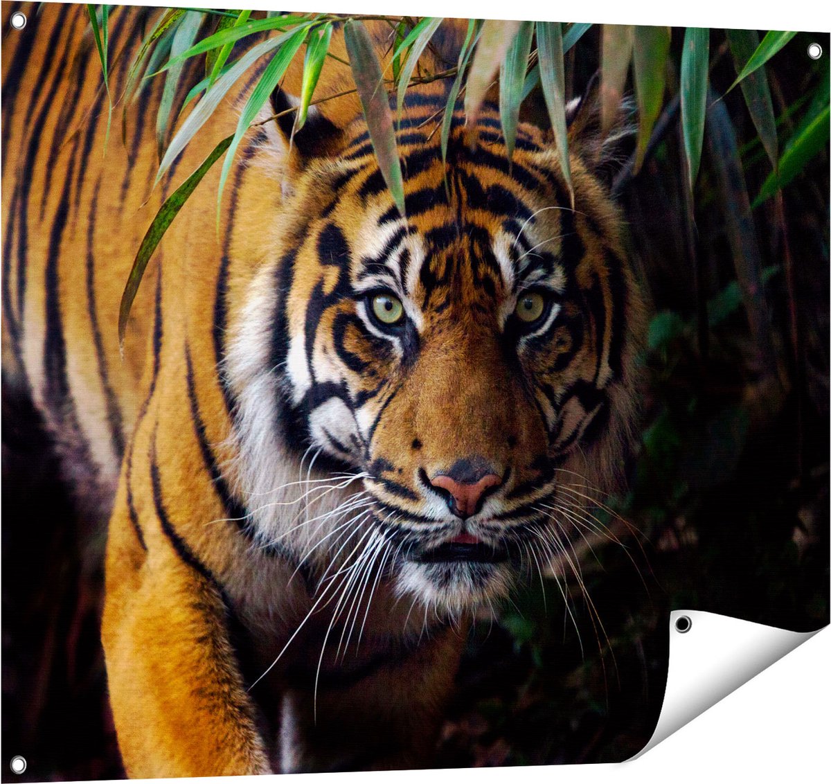 Gards Tuinposter Tijger in de Jungle - 100x80 cm - Tuindoek - Tuindecoratie - Wanddecoratie buiten - Tuinschilderij Multikleur