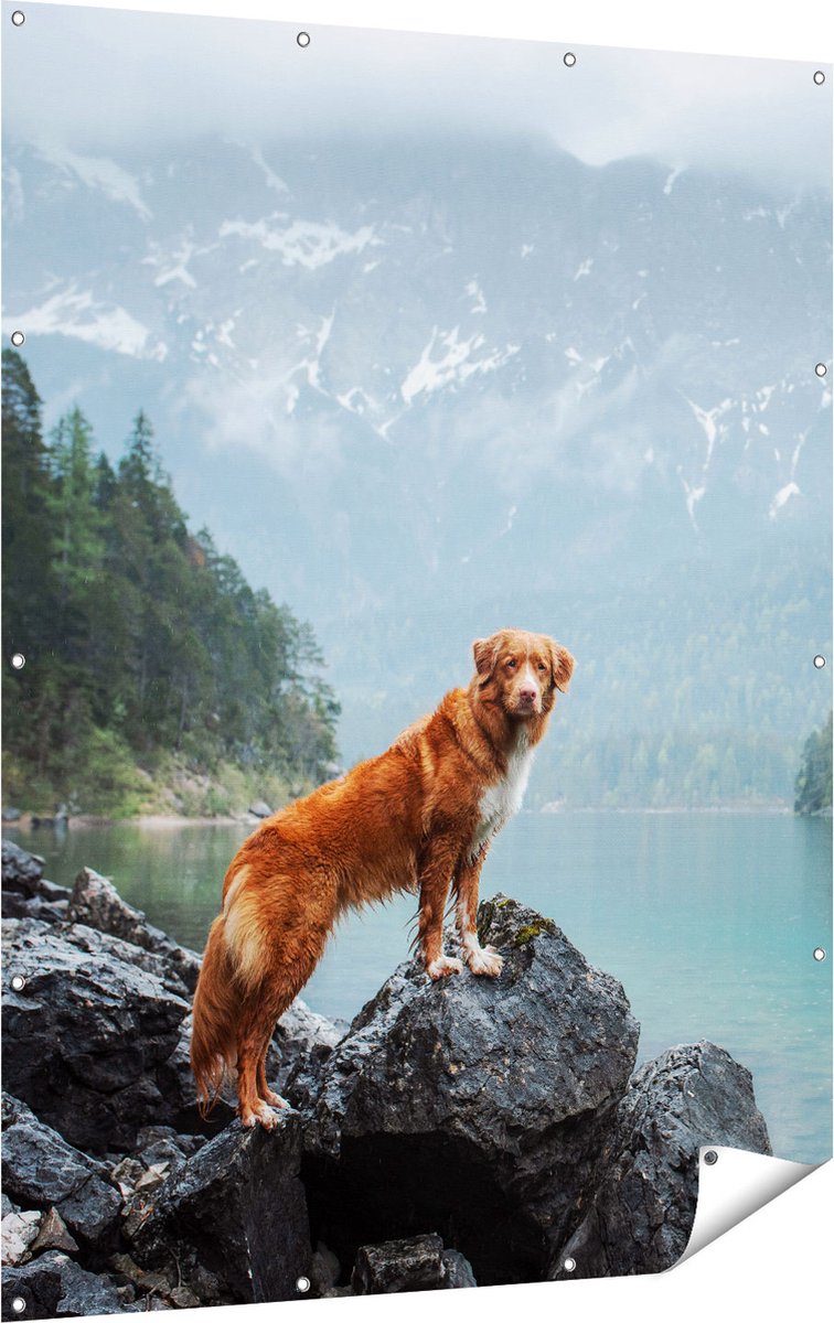 Gards Tuinposter Retriever Hond bij het Water in de Bergen - 120x160 cm - Tuindoek - Tuindecoratie - Wanddecoratie buiten - Tuinschilderij Multikleur