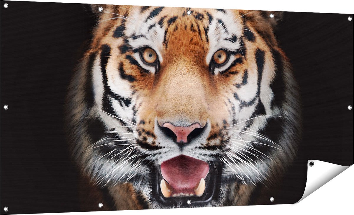 Gards Tuinposter Tijgerkop - Tijger - 160x80 cm - Tuindoek - Tuindecoratie - Wanddecoratie buiten - Tuinschilderij Multikleur
