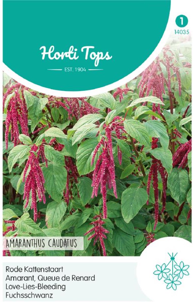 Hortitops Zaden - Amaranthus Caudatus Rood