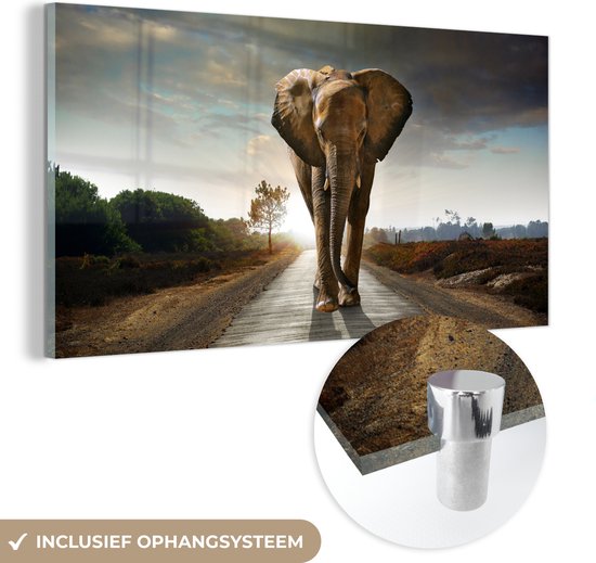 Glasschilderij olifant - Dieren - Weg - Bomen - Foto op glas - Schilderij glas - Kamer decoratie - Woonkamer - 80x40 cm - Slaapkamer - Muurdecoratie glas - Wanddecoratie - Glasplaat