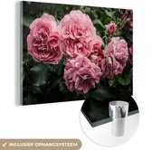 MuchoWow® Glasschilderij 150x100 cm - Schilderij acrylglas - Roze - Bloemen - Rozen - Foto op glas - Schilderijen