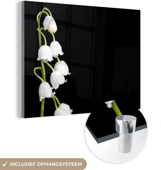 MuchoWow® Glasschilderij 40x30 cm - Schilderij acrylglas - Lelietjes van dalen - Bloemen - Zwart - Flora - Foto op glas - Schilderijen